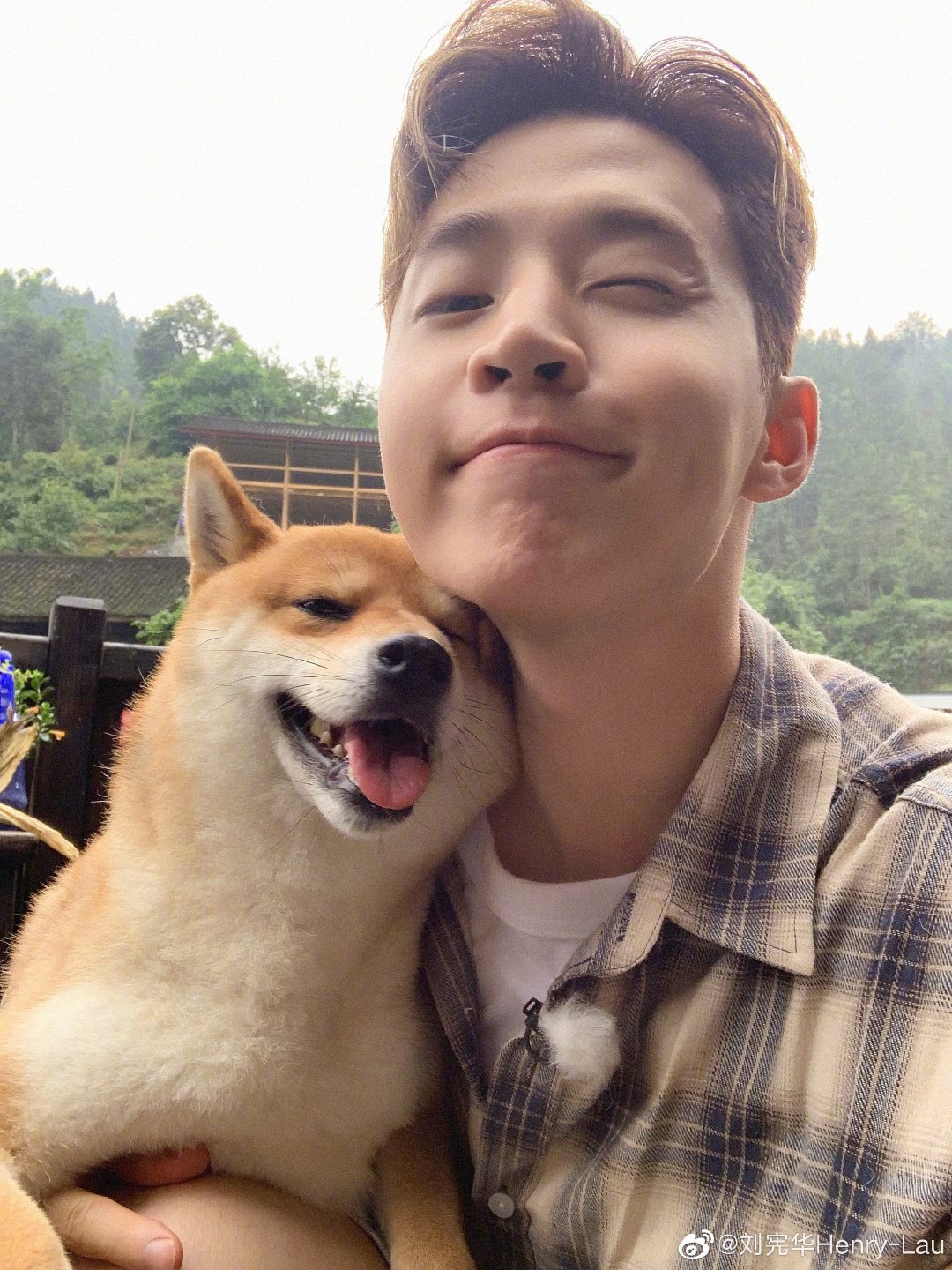 ヘンリーラウ Twitter Search Twitter