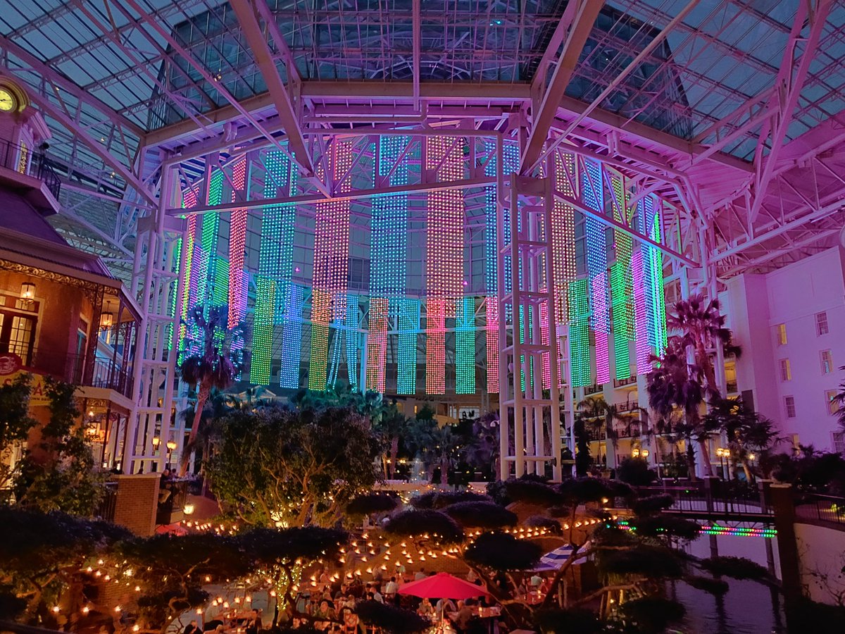 Rai_Gourav's tweet photo. A colourful end of the first day at #WFT19 @CWNP https://t.co/vlvqjFjV82