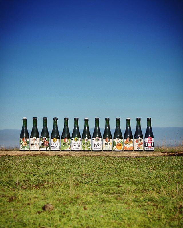 All of these contain our own farm-grown malts, most have our own hops in them &amp; over half of them use indigenous yeast - either isolated or spontaneously. 
_
We create our beers with an stunningly local perspective and approach, and a sustainably-minded … ift.tt/34PAi8d