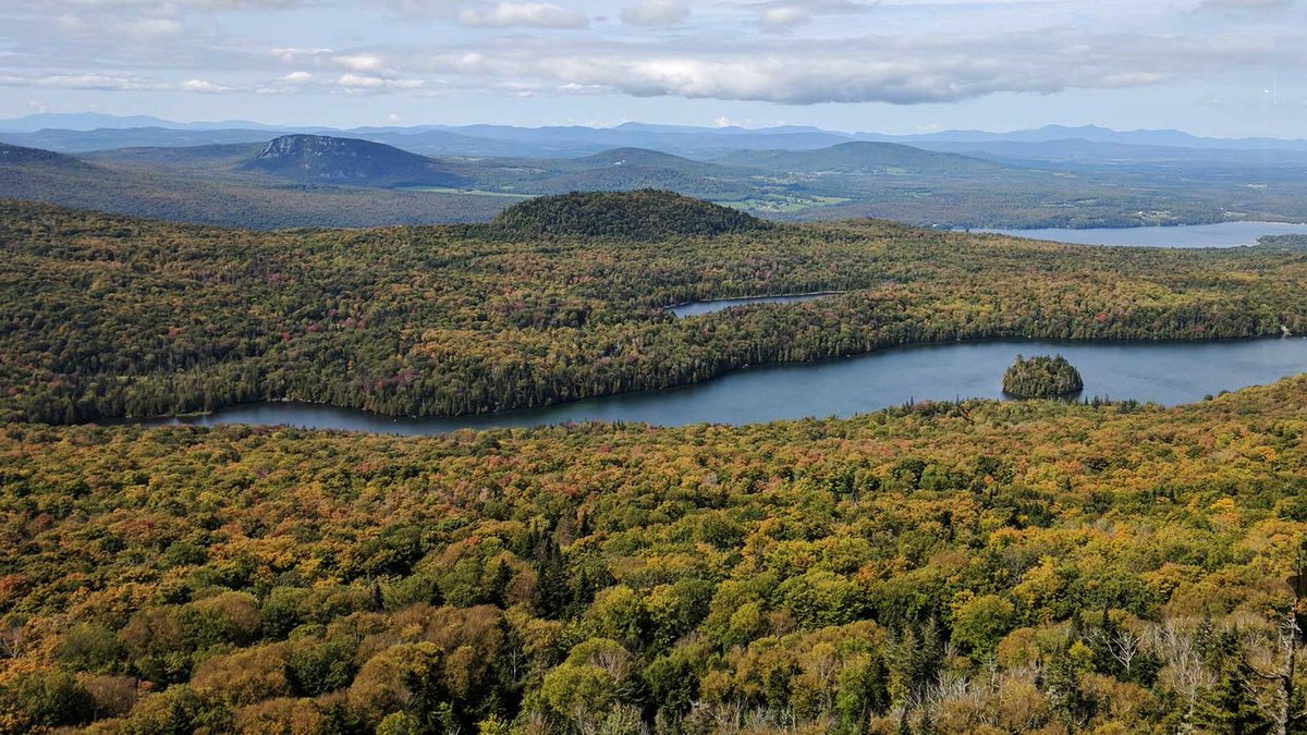 VermontTourism's tweet photo. Our latest fall foliage report is out here, https://t.co/Fy1Ga1rPXM, and @vtfpr_commish Michael Snyder says by this weekend, the Northeast Kingdom's forests will be set to pop. Who's been to the Northeast Kingdom? Plan a trip here: https://t.co/uPVRt1gNsH #thisisvt #visitvermont https://t.co/dU3mIMKa2f