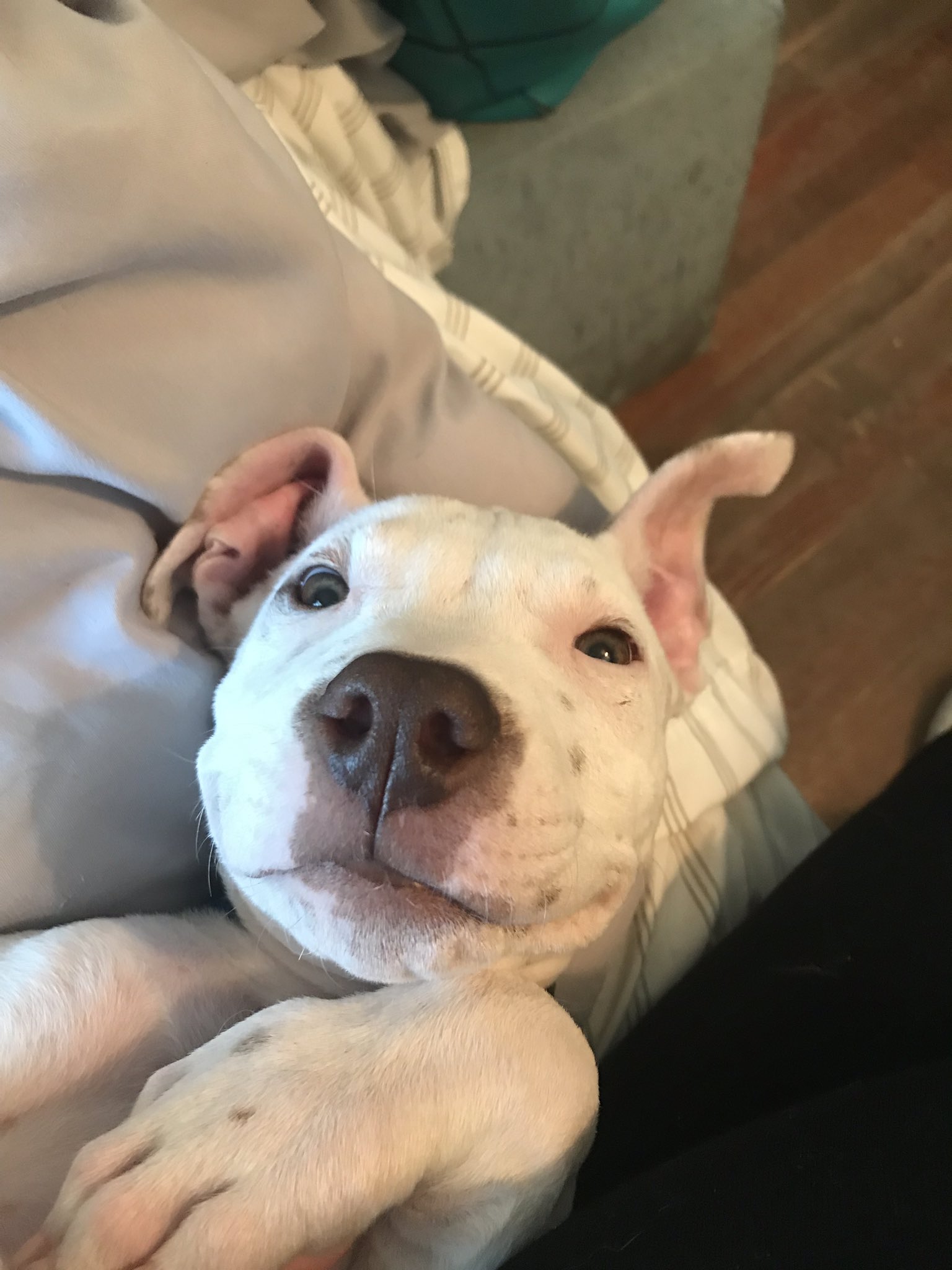  Happy Birthday Jimmy Fallon@ 