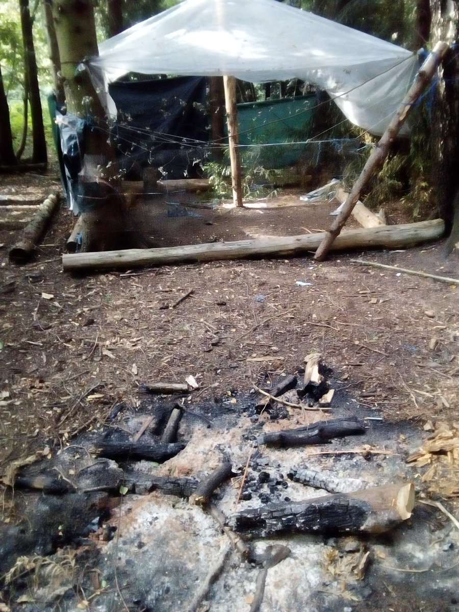 NewsAddictClub's tweet image. SOCIAL ISSUES: Has someone been living in the #woods? Makeshift shelter and evidence of fires found in woods at #Latton Common in #Harlow, #Essex: