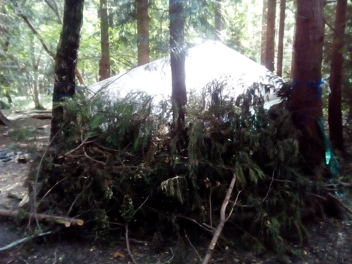 NewsAddictClub's tweet image. SOCIAL ISSUES: Has someone been living in the #woods? Makeshift shelter and evidence of fires found in woods at #Latton Common in #Harlow, #Essex: