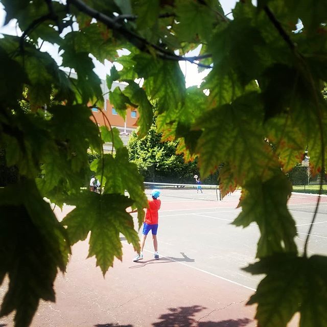 TenniswithD's tweet image. 13 times you #tenniscoach reminded you to #jumprope...
13 times you promised yourself to do speed training
13 times ago you said it was the last time you would #doublefault
13 times you were going to do those hundred ups - hundred downs of stairs
13 times 6am tennis was supp…