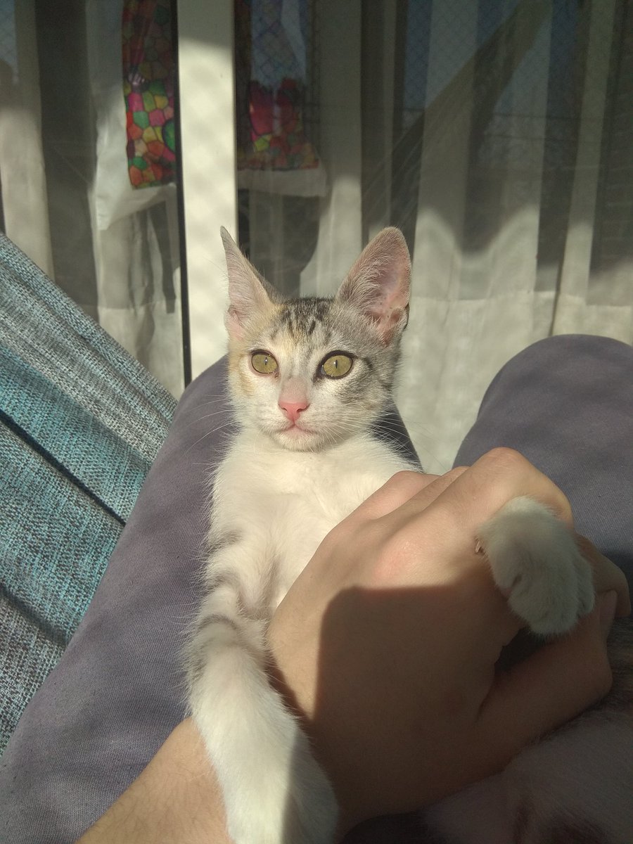 Sanchi ⭐⭐⭐ tweet media