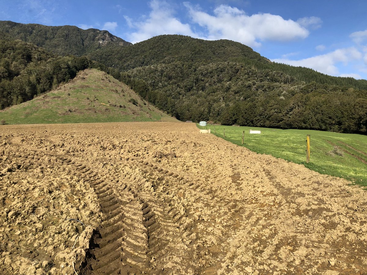 Andrew Treweeke tweet media