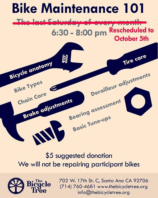 The Bicycle Tree tweet media