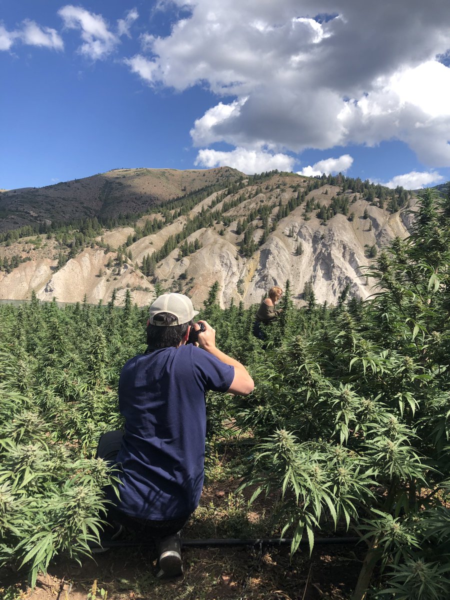 pufcreativ's tweet image. Great visit to @potzero420 today!