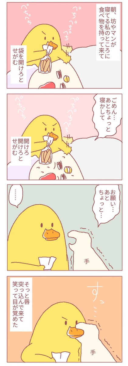 最近の朝の坊やマンと私

#鶏さんの絵日記 