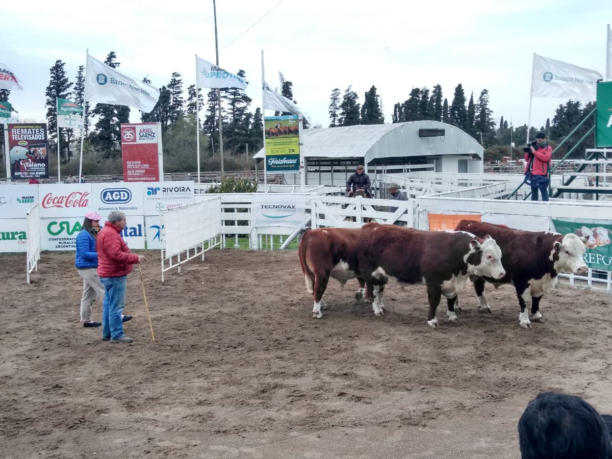 AteneoSrrc's tweet photo. #ÁreaBovinos, durante la Expo, compartimos algunas imágenes de la Jura y entrega de Premios.🏆
.
Agradecemos a todos los cabañeros que nos acompañan año a año, y a la institución.⭕
🐂🐄🐃
#85Expo
#AteneoSRRC
#jóvenes https://t.co/bttU92oKGU