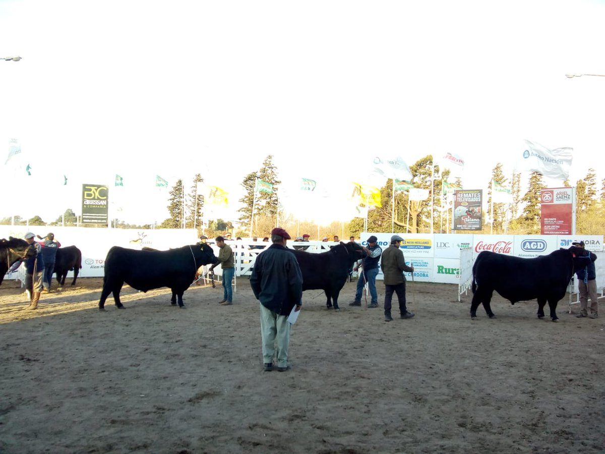AteneoSrrc's tweet photo. #ÁreaBovinos, durante la Expo, compartimos algunas imágenes de la Jura y entrega de Premios.🏆
.
Agradecemos a todos los cabañeros que nos acompañan año a año, y a la institución.⭕
🐂🐄🐃
#85Expo
#AteneoSRRC
#jóvenes https://t.co/bttU92oKGU