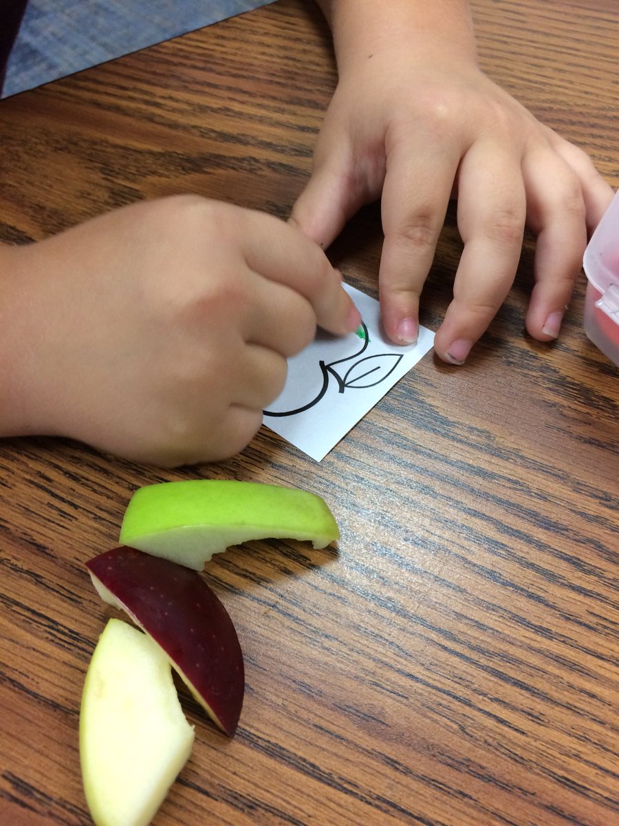 Baldwin_teacher's tweet photo. In our scientific exploration of properties of matter, we used our sense of taste to gather, organize, &amp; analyze data about the best tasting apples — according to enthusiastic Kindergarten tasters! 🍎🍏 Red Delicious beat out Yellow Delicious and Granny Smith! #HandsOnScienceFun https://t.co/hw2DZdbcn4