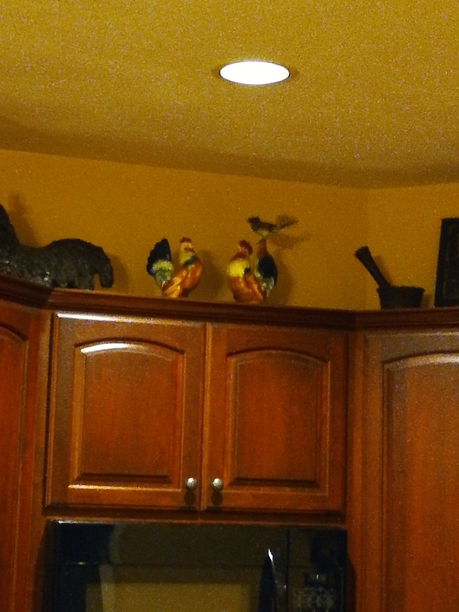 dfulreader's tweet photo. A5 had a real tweet emergency in our house:)can you see it on top of the rooster? Liz was and is a great role model for me. #MSAAWomenInLeadership https://t.co/oebhcWQIwy