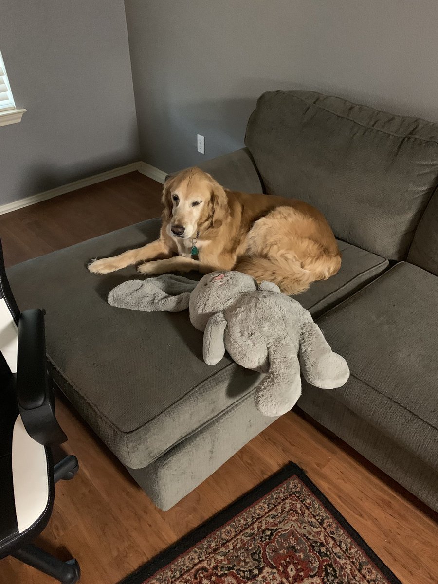 BrianZilem's tweet image. It’s never easy saying goodbye. You will be missed Maverick Dirk. Thank you for being a good puppy dog. Please tweet your favorite pet photo.