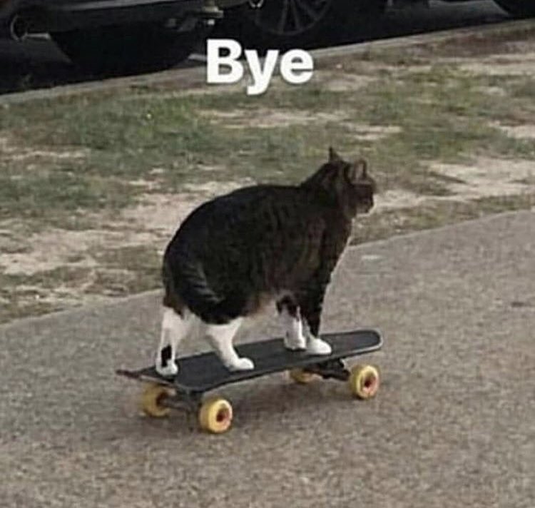 EEybhnuU4AAQ2RG?format=jpg&name=900x900