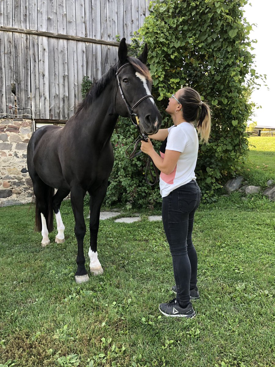 Great day outdoors spent taking Thumper’s photo #horsephotography #simcoecounty #tottenham #countyliving #photography