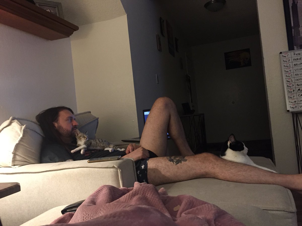 Crowleysmum95's tweet photo. I got another cat so she’d cuddle with me... obviously no one loves me... 😣 https://t.co/kuopQafZAb