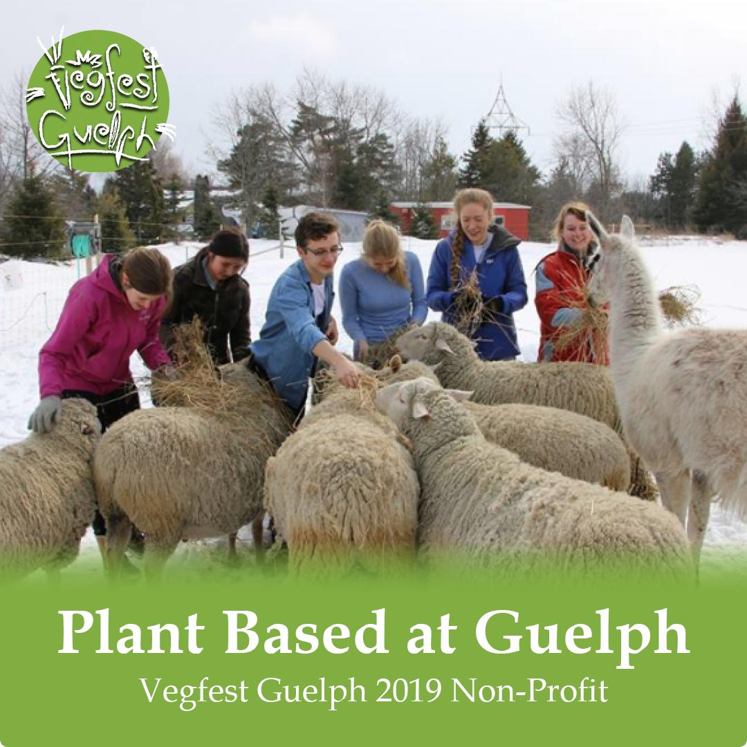 Non-Profit Spotlight: Plant-Based at Guelph (PB@G)

PB@G is the campus Veg group at the University of Guelph. It runs activism events and brings in speakers. It builds a positive space for Veg students and others moving towards a plant-based lifestyle.