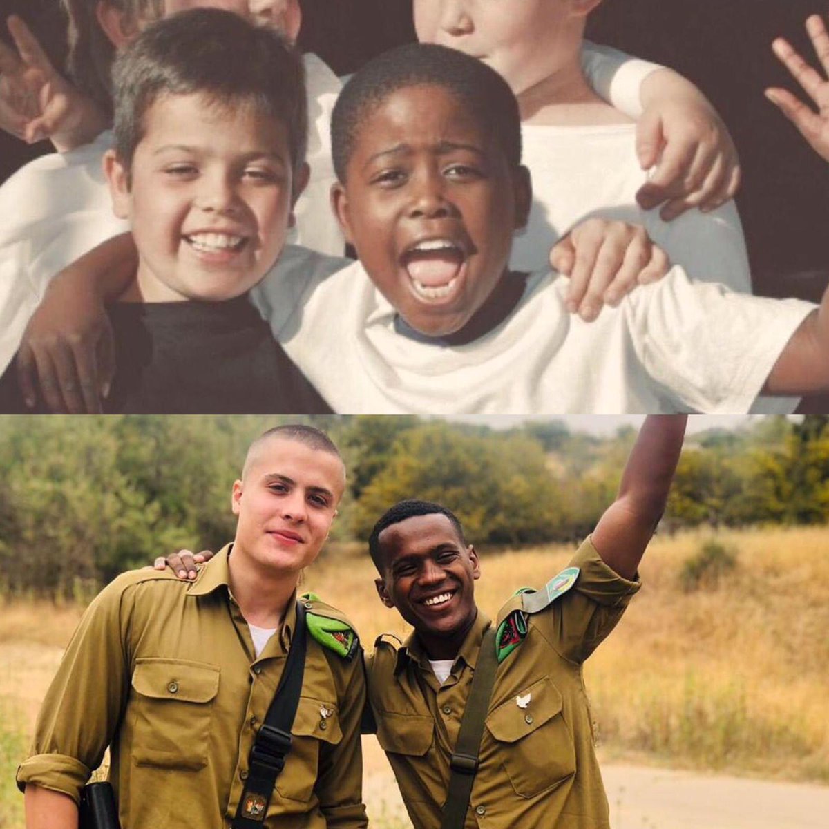 Hananya Naftali tweet media