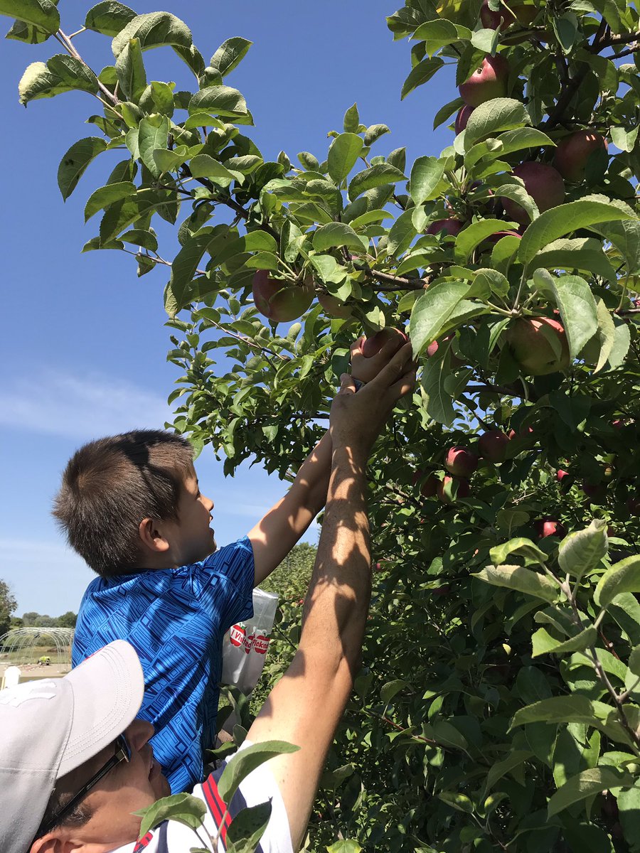 MrsDs1and2class's tweet photo. Great field trip to Apple Land Station! Students had a blast and got to pick 5 apples each! @LDCSB @HGoulart14 @StBernadette5 https://t.co/nkb1kLG5pA