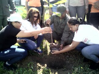 hoy 18/09/2019 ZOGEC APURE, REALIZO JORNADA DE LIMPIEZA Y SANEAMIENTO AMBIENTAL,PLANTACIÓN DE ARBOLES FORESTALES,AUTÓCTONO DE NUESTRA REGIÓN (EL MERECURE) A LA ORINA DEL CAÑO DEL MUNICIPIO BIRUACA DE LA REGIÓN LLANERA