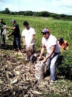 DURANTE LA JORNADA SE RECOLECTO MAS DE 90 KG ENTRE PLÁSTICO Y CARTÓN,ASÍ MISMO SE RECOLECTO 330 KG DE MATERIA ORGÁNICA. LLEVANDO CHARLAS DE CONCIENCIACION A COMERCIALES Y VECINOS. PARTICIPACIÓN MINEC,GUARDERÍA AMBIENTAL,PROTECCIÓN CIVIL,INPARQUES,MISIÓN ÁRBOL, ALCADIA DE BIRUACA