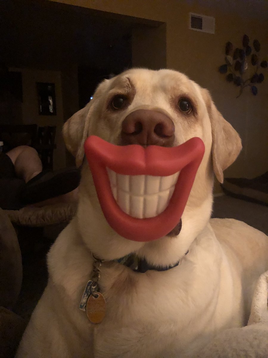 center_stage18's tweet photo. the best/most important content you’ll see today: https://t.co/5JRdzAftZY