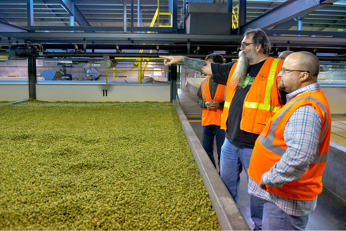 We had the pleasure and privilege of seeing Jim Boyd yesterday, an old friend who you might say is the Yoda of hops ... if Yoda had a long mustache and a beard to his belly.