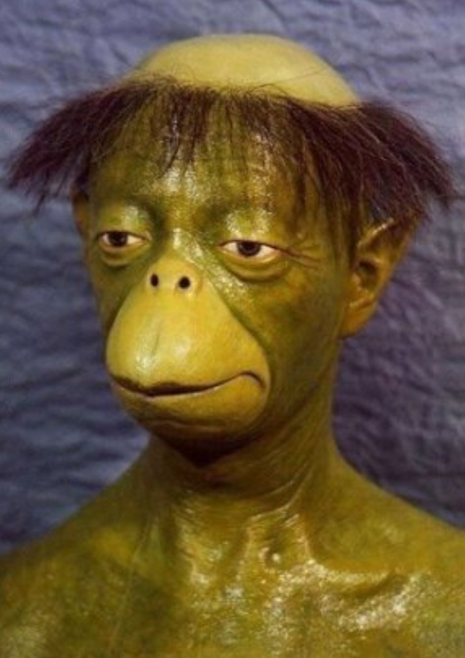 تويتر ゆう W ノ على تويتر Kirirab もちろん 一緒に きゅうり食べてるとこ 送るね 私が捕まえたいのは さらざんまいのような 河童であって リアルなのは逃げるが T Co Wrs8xpaiwg