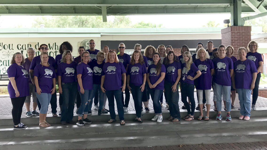 SchoolMims's tweet photo. Mims Elementary supporting one of our own!  Coming together to bring awareness to T18 Edwards’ Syndrome. The sea of purple on campus today was incredible to see, but more importantly the love &amp; support for Ms. D and Esme that was felt. #teamEsme #t18 #teamsupport #mimsstrong https://t.co/tJ0a2QJAk3