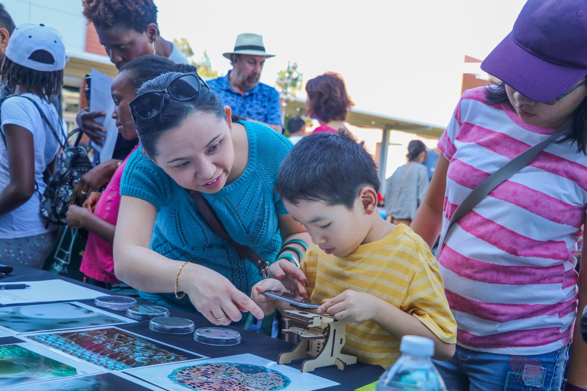 Arcadia PAF tweet media