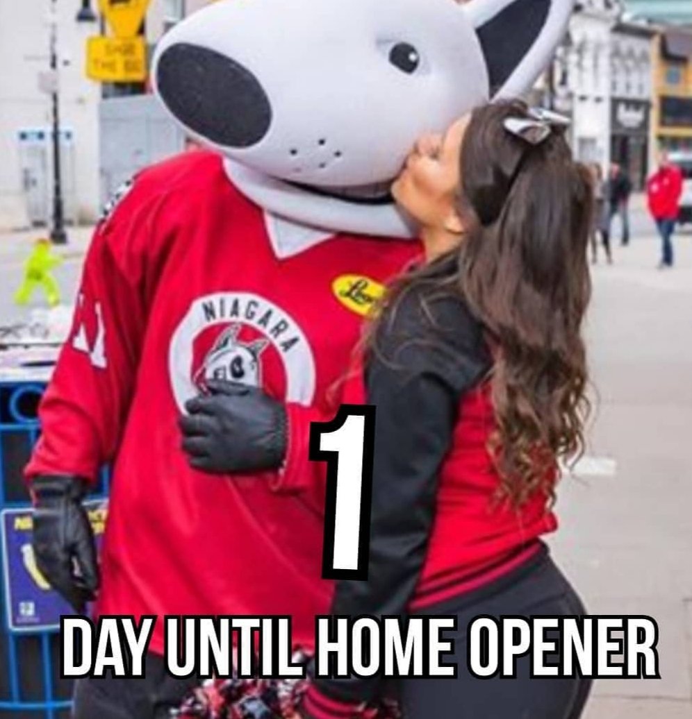Bones_911's tweet photo. 1 more day til the big day!!!!! #GODOGSGO https://t.co/tLvBteptXK