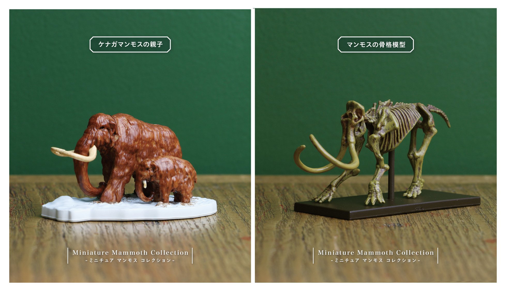 ケンエレファント 公式 マンモス展 ミニチュアフィギュア好評販売中 マンモスが 手のひらサイズで蘇りました マンモス 展 Mammothten 限定 会場のみでご購入できるカプセルトイです 3連休はマンモス展へぜひ マンモスガチャ マンモス展 ケンエレファント 公式 マンモス展 ミニチュアフィギュア好評販売中 マンモスが 手のひらサイズで蘇りました マンモス 展 Mammothten 限定 会場のみでご購入できるカプセルトイです 3連休はマンモス展へぜひ マンモスガチャ マンモス展