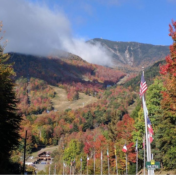 big_demension's tweet photo. Foliage season on da way y'all https://t.co/1Vsyv53vdU