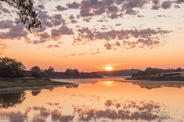 Jett1oeil's tweet photo. Harmonieux...
•
#lacducebron #deuxsevres #nature #cenpc 0514
•
#igersdeuxsevres #igersfrance #so_photo #magnifiquefrance #france4dreams #kodakmoments #yourhappyfrance #hello_france #francefr #explorefrance #notrejoliefrance #still_life_nature #nature… https://t.co/SsbX24bD9Y https://t.co/6pa0Orls0O