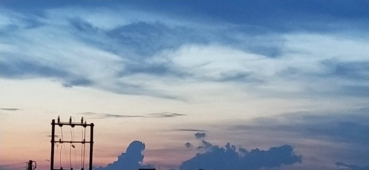 AjayBobade's tweet image. Last evening photo #shotonmia3 #xiomi #whatchuthing ? #shotforbeebom