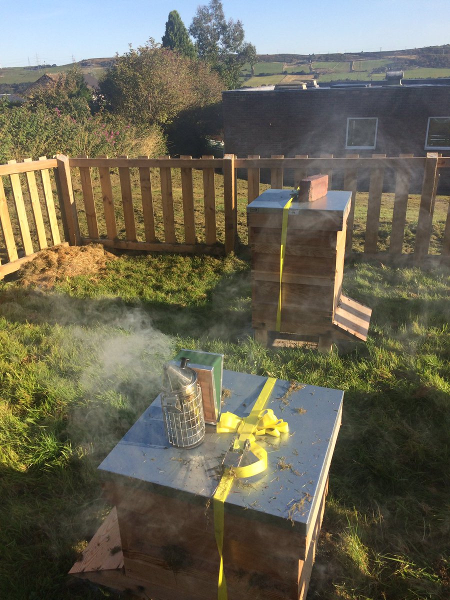 Simon Thake tweet media