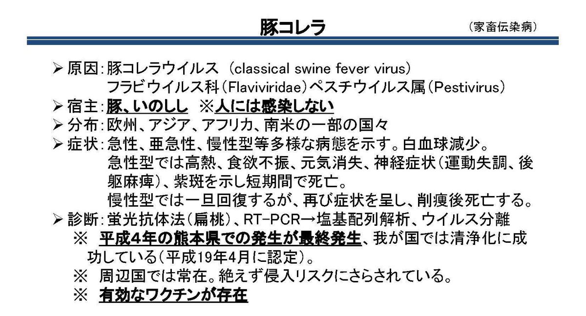 滋賀県のイノシシが豚コレラに感染してるというニュースで不安になってる人も多いが、豚コレラとは、豚・いのししの病気で、人に感染するものではありません。豚コレラに感染した豚肉を食べても、人体には影響はありませんので安心して下さいね。 