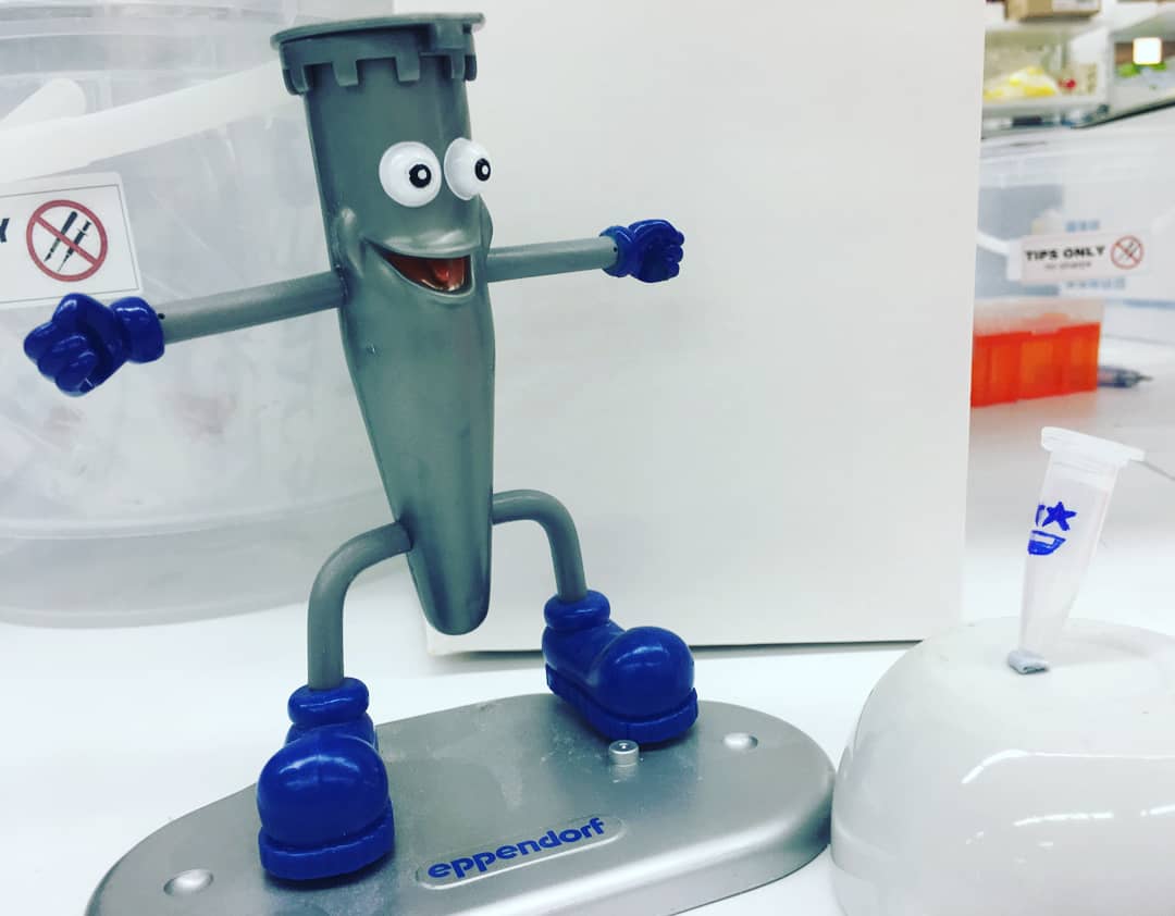 BitesizeScience's tweet photo. Little Eppy was star-struck with the #topdawg 🐕 on campus

#firstdayhigh #firstdayofschool #firstdayjitters #woof #woofwoof  #dogeatdog #biomedical #biomedicalscience #biomedicalresearch #biomedicalengineering #medicaldevice #pippette #CellBiology https://t.co/gqa3L15vRr