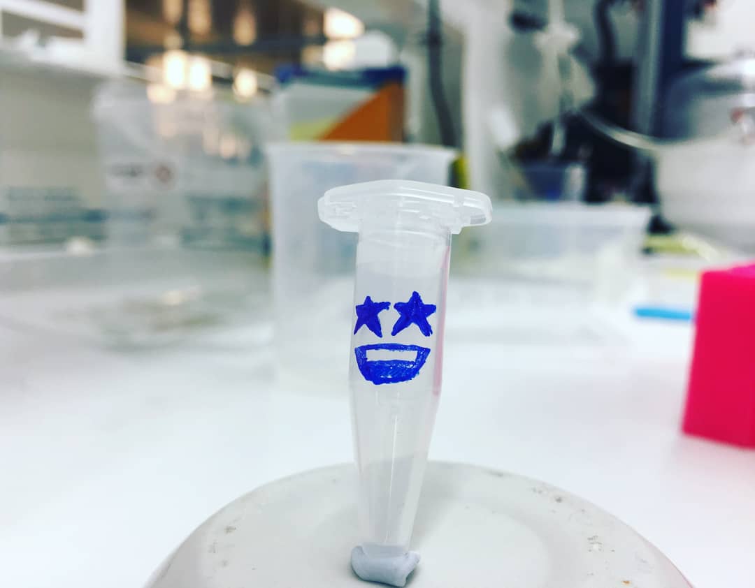 BitesizeScience's tweet photo. Little Eppy was star-struck with the #topdawg 🐕 on campus

#firstdayhigh #firstdayofschool #firstdayjitters #woof #woofwoof  #dogeatdog #biomedical #biomedicalscience #biomedicalresearch #biomedicalengineering #medicaldevice #pippette #CellBiology https://t.co/gqa3L15vRr