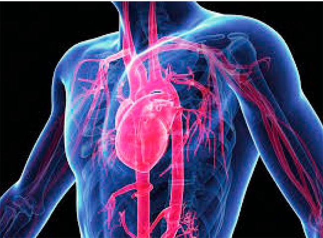 CHULimoges's tweet photo. [Journée Mondiale des Maladies de l’Aorte] Pour la 1ère fois, l’Association @DissectionAorte se rendra dans un hôpital en #Limousin #HopitalDupuytren #CHULimoges pour sensibiliser le personnel médical, les patients et leur proche. https://t.co/NEXADFdqhx
@_lamarguerite https://t.co/cvdmEwVq6k