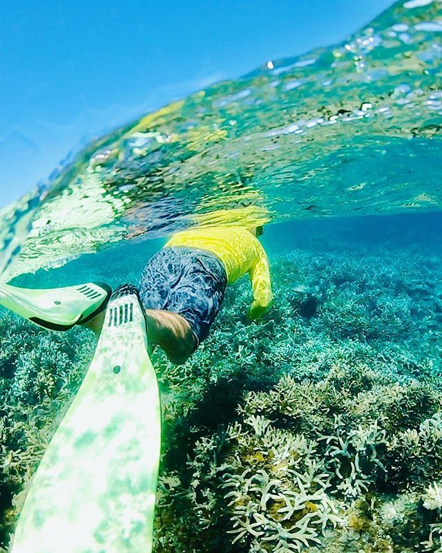 Follow the leader: Turtley awesome 🐢💦
.
.
.
.
.
.
.
.
.
.
.
#keppelexplorer #visitcapricorn #seeaustralia #thisisqueensland #queensland #southerngreatbarrierreef #greatbarrierreef #greatkeppelisland #keppelisland #yeppoon #islandlife #boat #paradise #beach #island #instatrav…