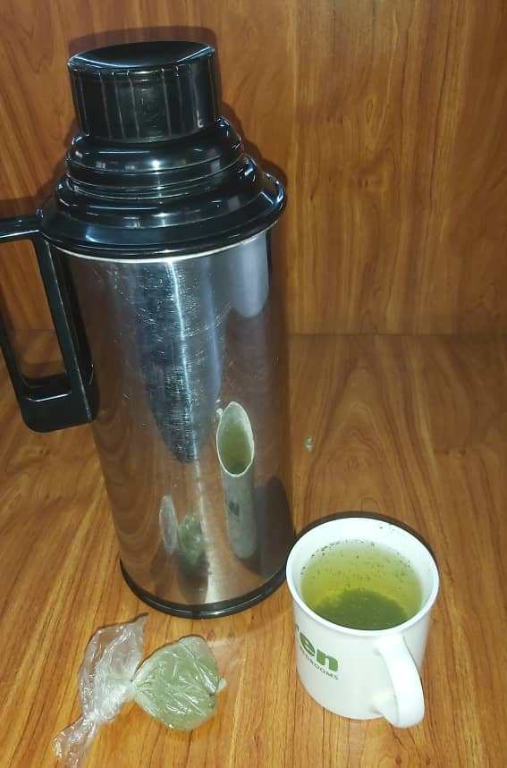 clifflyk's tweet photo. Do you know Omufurura? Do you know its medicinal value? My mission is to have two cups of warm water with omufurura every morning.
Healthy living is my target.
#CliffToday
#UgandaBeauty https://t.co/2UH7thl5dU