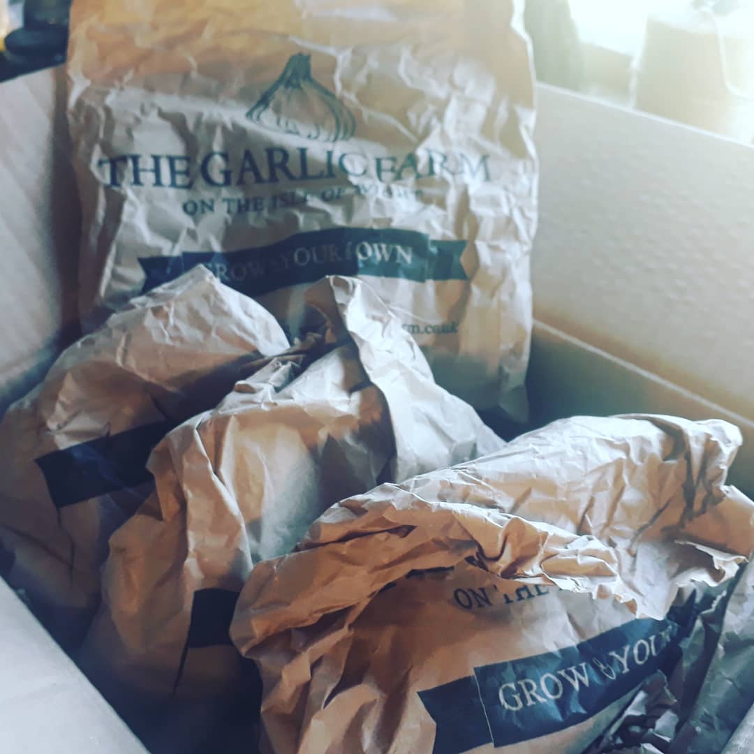 Look what turned up, Autumn planting garlic <a href="/TheGarlicFarm/">The Garlic Farm</a> this marks the end of the season and the beginning of the new season for me. Where did the year go 😮😁