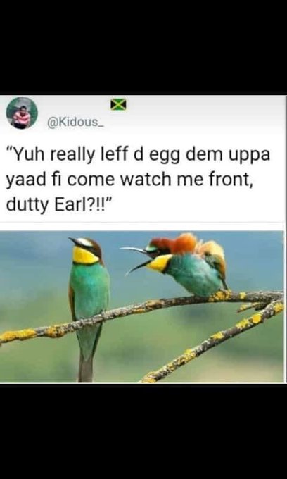 #Jamaican https://t.co/5Xw9WqvQgO<a href="/tag/jamaican"class="tags">#Jamaican</a>