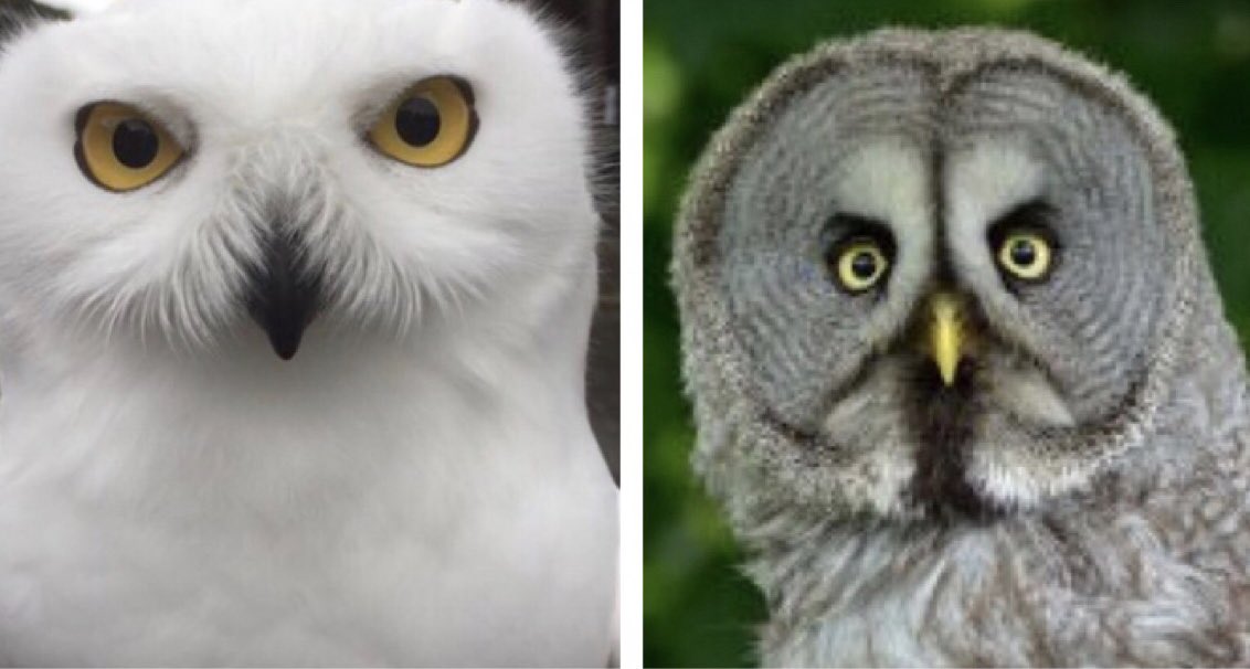 Cragknowe Cottage tweet media