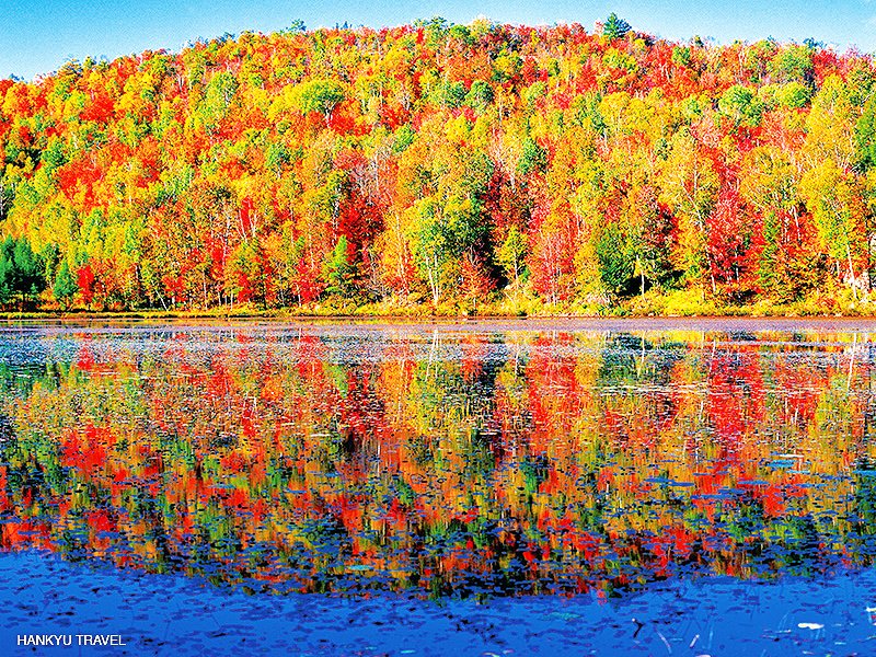 阪急交通社 旅コーデ カナダのケベックシティとナイアガラ間を結ぶメープル街道 秋の紅葉シーズンには木々が燃えるような赤や黄色に染まり 各都市で色鮮やかな風景が楽しめます カナダ航空券を今すぐチェック T Co Vylpgqizhv