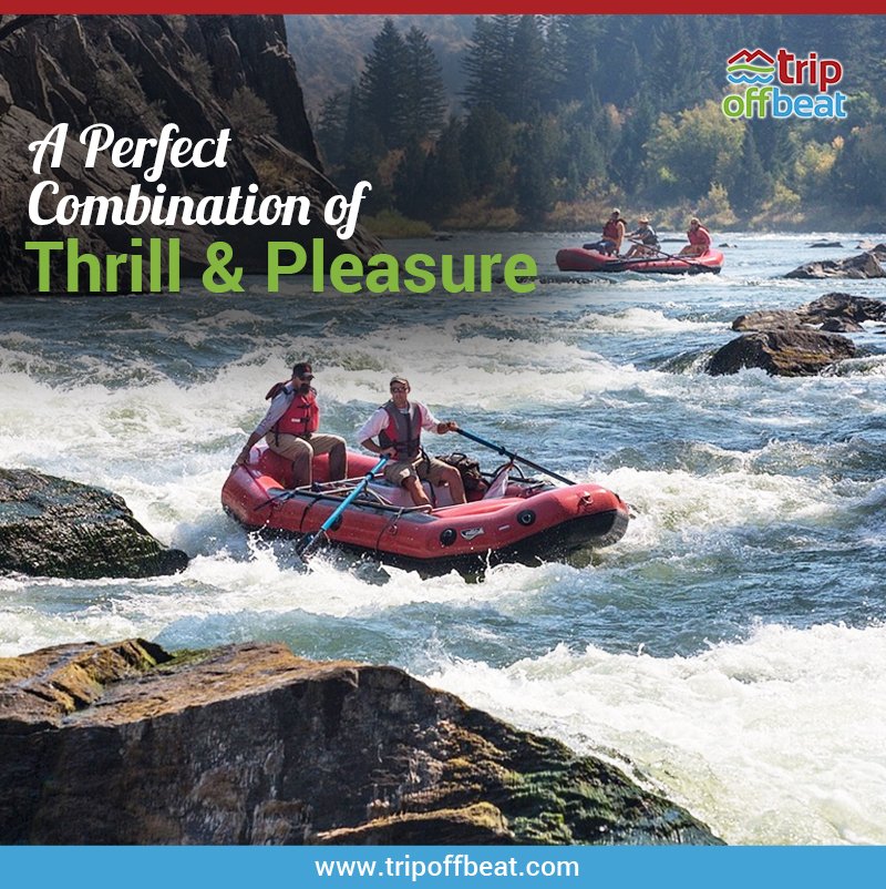 TripOffBeat's tweet photo. River rafting is undoubtedly considered as one of the most thrilling yet captivating adventure sports in the world. The sport demands much needed physical effort &amp; experience to paddle down against water of fast flowing rivers. Book your trip with us at https://t.co/VIpRJTYjAQ https://t.co/nTDaXuCb9Y