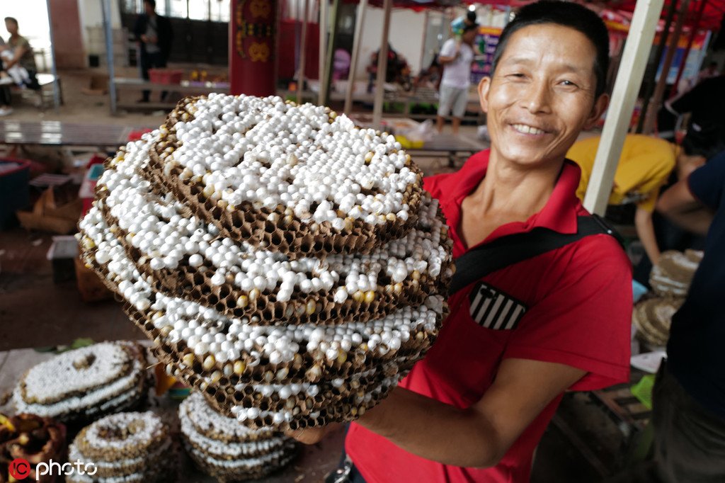 ChinaDaily's tweet photo. Bee larvae has entered the food market in Wuding county, SW China's Yunnan province. https://t.co/vD6TSipn8d