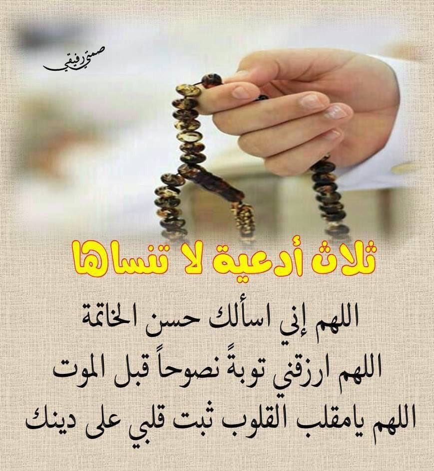 sarah7545's tweet photo. ربي نسِألك هدوء النفس
وطمأنينة القلب وإنشُراح الصدر 
~ صباح الخير 🌻 https://t.co/NOIoZo55xj
